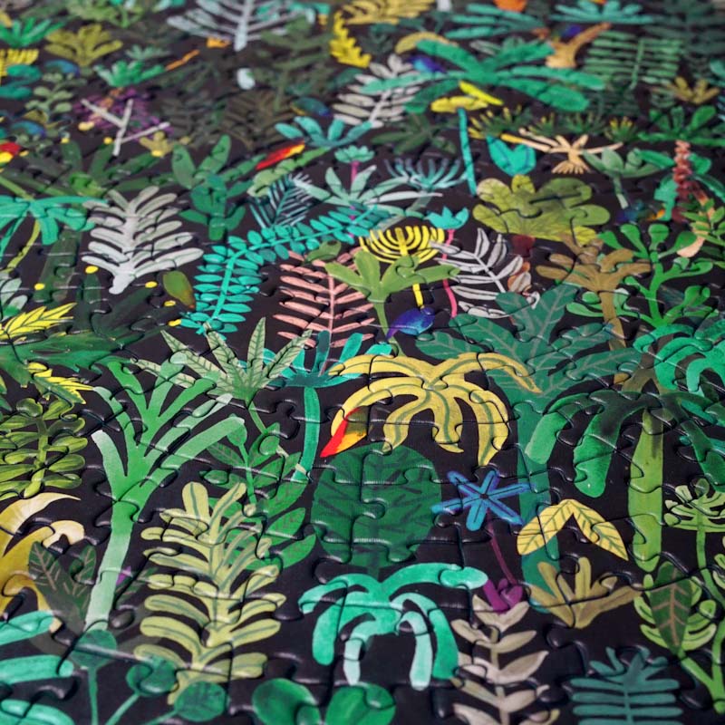 DSC08535 puzzle crop3 edited3